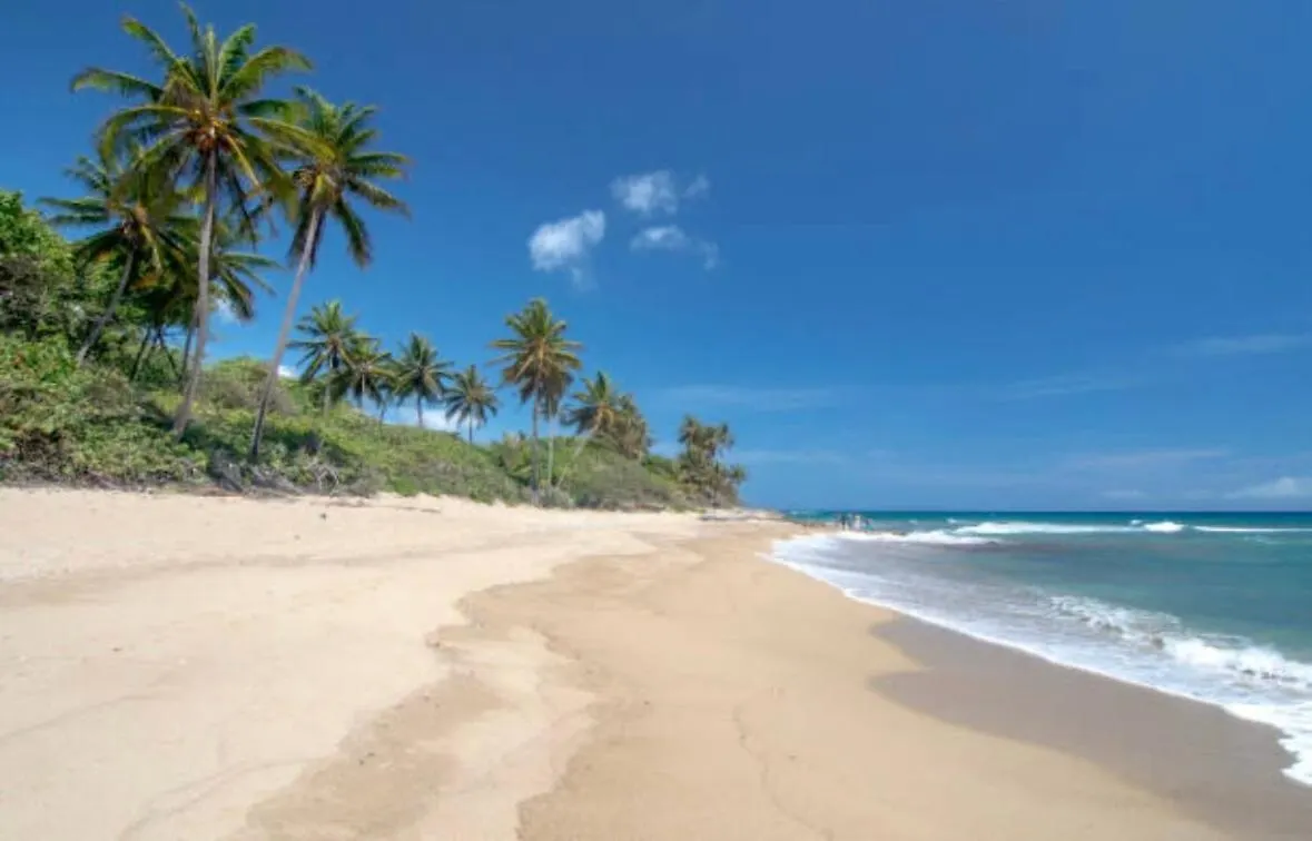 Caribbean Dream - Premium Apartment With Big Pool Sosua